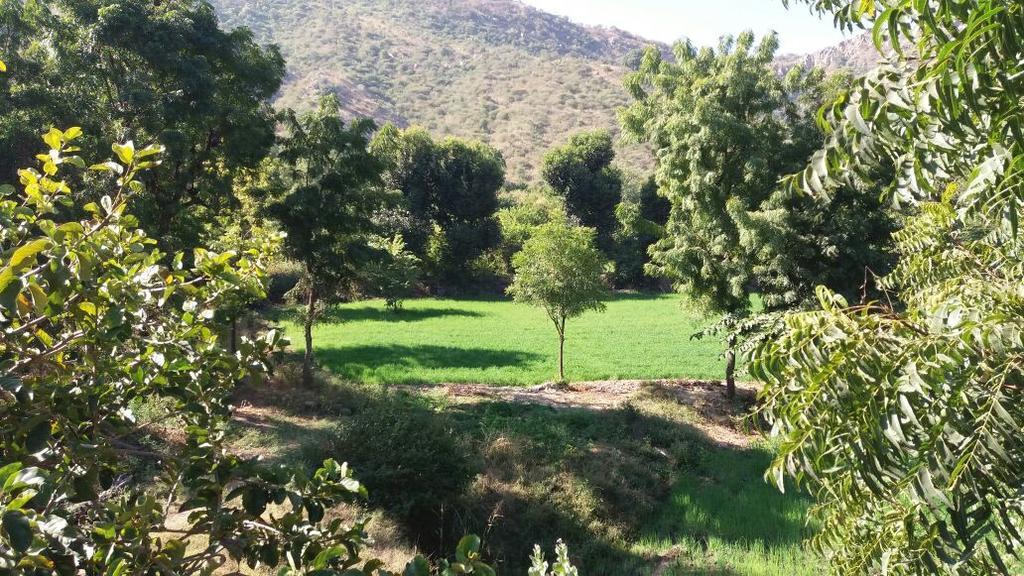 Krishna Ranch Villa Udaipur Exterior photo